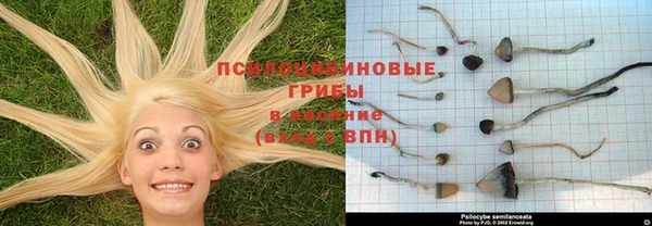 дурь Балабаново