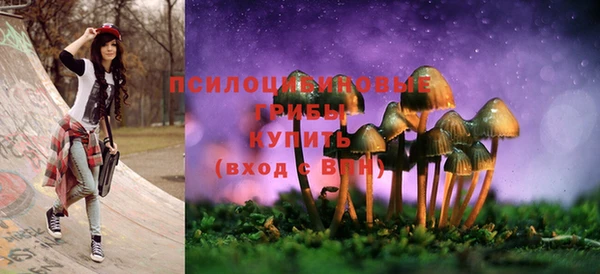 MESCALINE Баксан