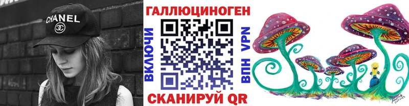 Псилоцибиновые грибы GOLDEN TEACHER  сайты даркнета официальный сайт  Ладушкин  KRAKEN маркетплейс 